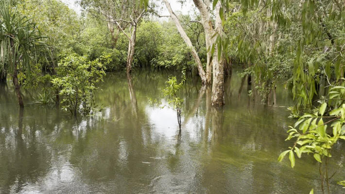 Kakadu Nationalpark