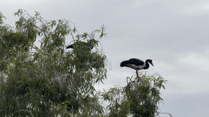 Kakadu Nationalpark