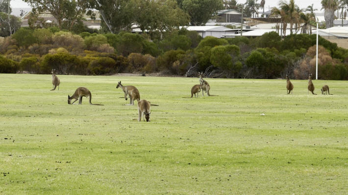 Kalbarri