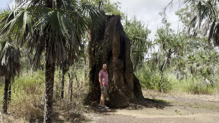 Termite mounds at Litchfield Nationalpark