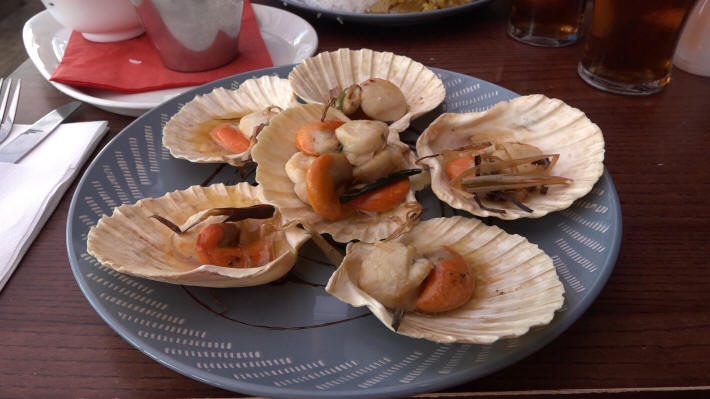 Scallops