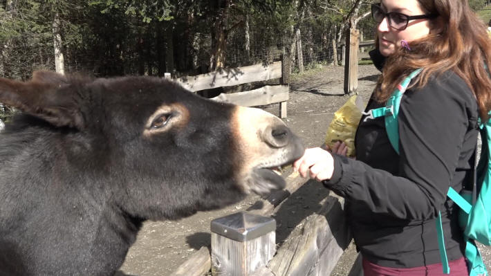 Wildpark Ferleiten